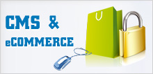 eCommerce and CMS